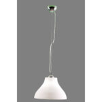 300-1/1039-1 SARA Visilica